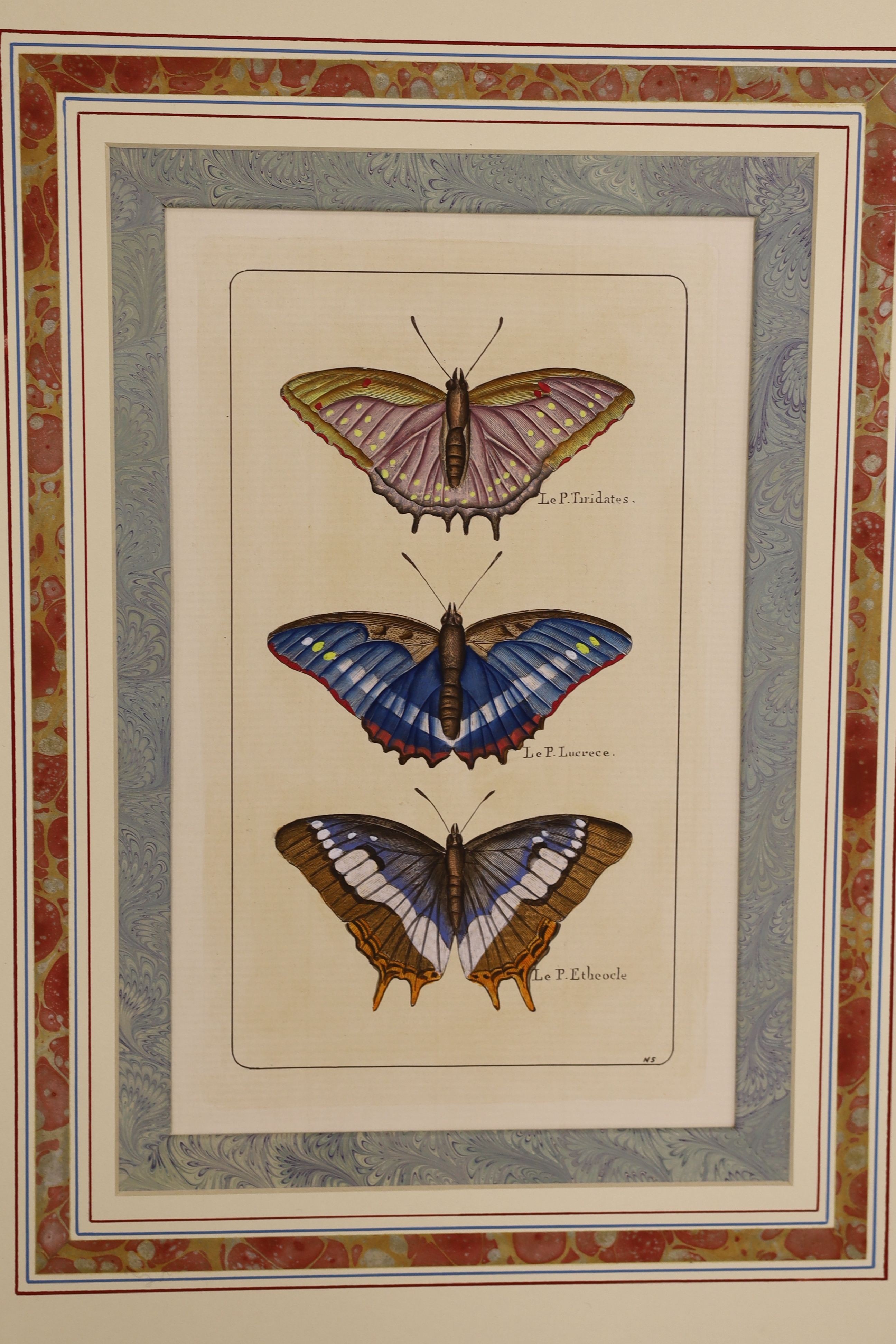 19th century French School, a set of ten hand coloured engravings, Studies of butterflies, 24 x 15cm, unframed